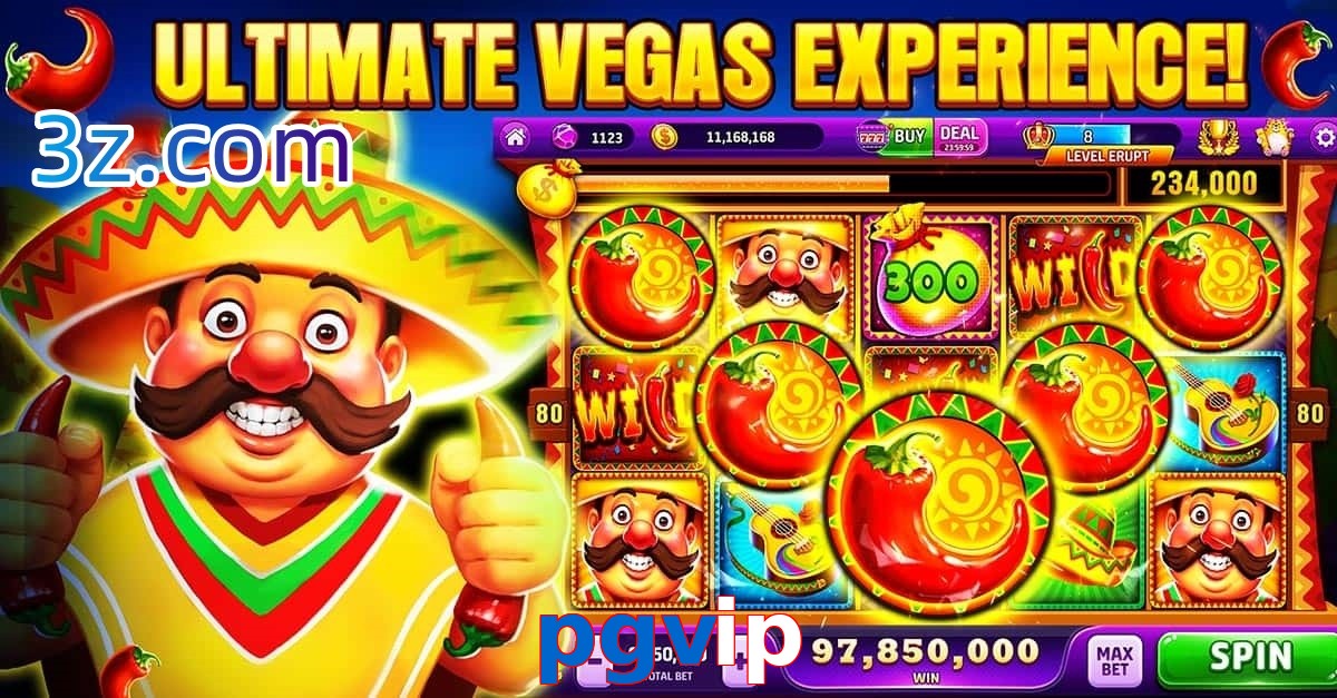 pgvip.com